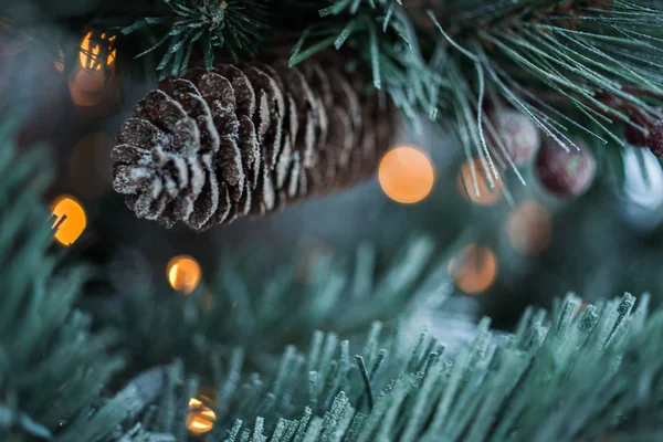 Köknar koni - Noel özniteliği