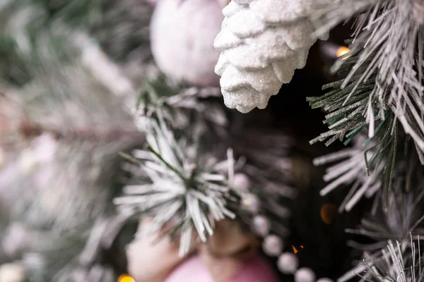 Köknar koni - Noel özniteliği