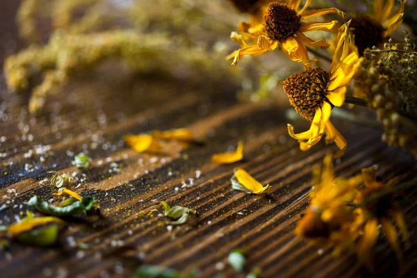 Ahşap bir masa üzerinde kurutulmuş buket Rudbeckia