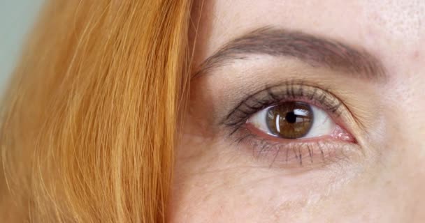 Woman 's Brown Eyes — стоковое видео