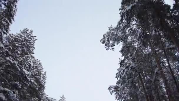 Frosty Morning on the Way to the Ski Resort — Stock Video