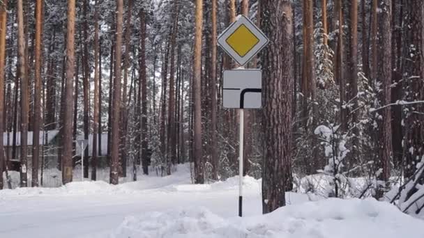 Road Sign a Priority Road in Snowy Forest — Stock Video