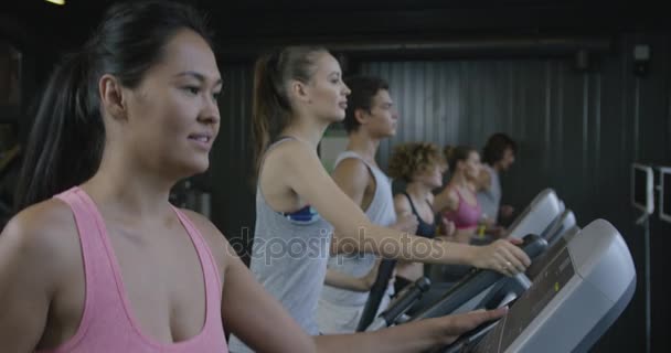 Sokol _ Fit _ Red 20 — Vídeo de Stock