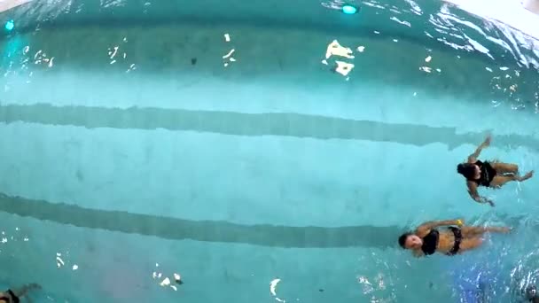 Young Women Swimming on their Backs in the Pool in Slow Motion — Stock Video