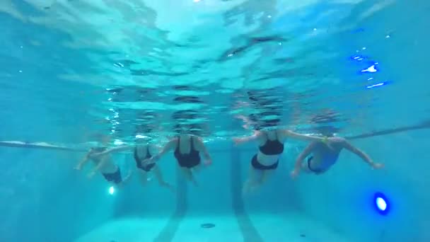 Gente nadando en la piscina — Vídeos de Stock