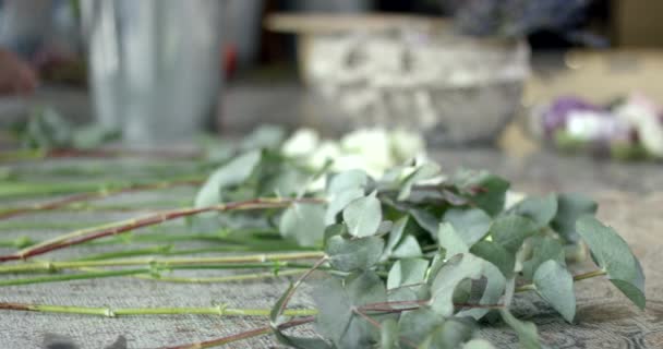 Perfekte Blumen für Ihren Hochzeitsstrauß — Stockvideo