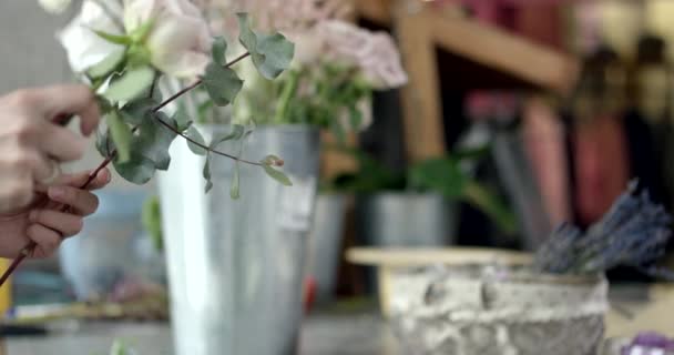 Junge Floristin stellt einen Strauß zusammen — Stockvideo