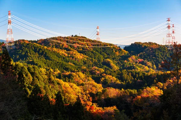 高电压电力发布在彩林山 — 图库照片