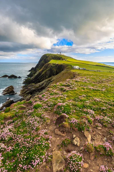 Růžové moře na útesu, pod modrou oblohou, Shetlandy, Skotsko — Stock fotografie