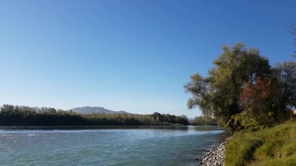 Mountain River in the summer, Landscape of Nature, View of Stream, River view from the shore — Stock Video