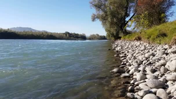 Rio da Montanha no verão, Paisagem da Natureza, Vista do Fluxo, Vista do rio a partir da costa — Vídeo de Stock