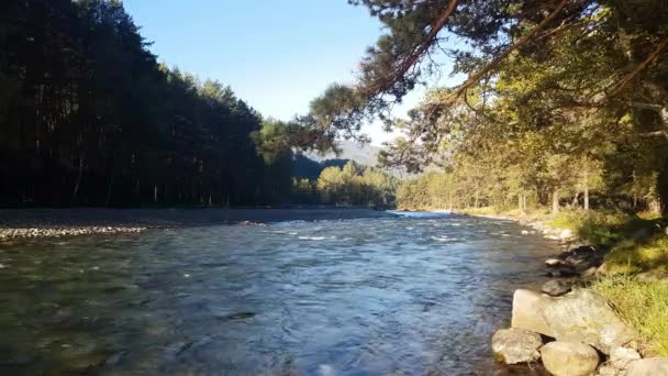 Mountain River på sommaren, landskap av naturen, Visa av ström, utsikt över floden från stranden — Stockvideo