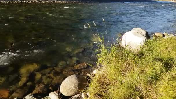Mountain River på sommaren, landskap av naturen, Visa av ström, utsikt över floden från stranden — Stockvideo