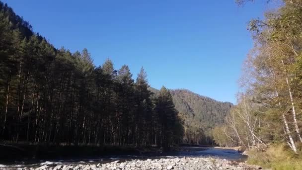 Gebirgsfluss im Sommer, Landschaft der Natur, Blick auf Bach, Flussblick vom Ufer — Stockvideo