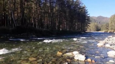 Sabah. Boş orman yolu, yol araba olmadan kırsal kesimde