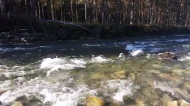 Yaz, manzara, doğa, görünümü dere, nehir manzaralı kıyıdan dağ Nehri
