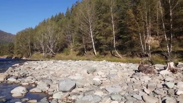 Mountain River på sommaren, landskap av naturen, Visa av ström, utsikt över floden från stranden — Stockvideo