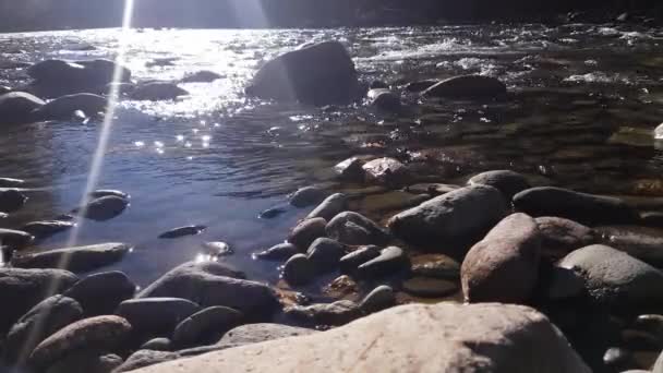 Yaz, manzara, doğa, görünümü dere, nehir manzaralı kıyıdan dağ Nehri — Stok video