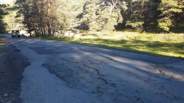 Sabah. Orman yolu, yol geçen araba ile şehir dışında — Stok video