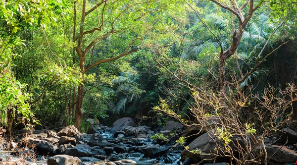 山区河流在丛林中，印度果阿的全景 — 图库照片