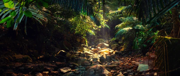 Dağ nehir orman, Hindistan, Goa'da Panoraması