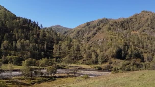 Красивые виды на горы и горную реку, ручьи летом в ясную погоду — стоковое видео