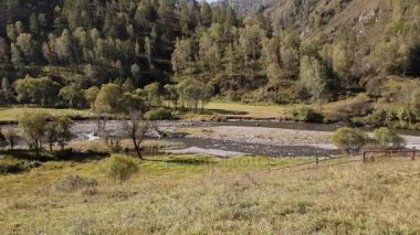 Panoramik dağ ve dağ nehir, dere açık havada yaz
