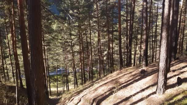 Vista da estrada florestal com carro, a montanha através das árvores — Vídeo de Stock