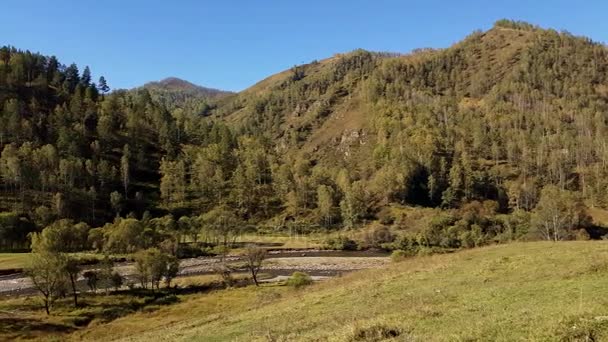 Panorámás kilátás nyílik a hegyekre és a hegyi folyó, patak, tiszta időben nyáron — Stock videók