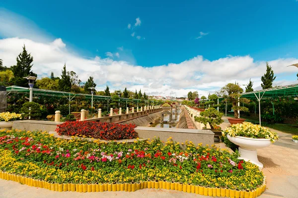 Kleurrijke lente zomer park met bloemen in zonnige dag — Stockfoto