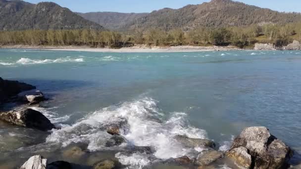 Panorama mountain river, turkost vatten, sommar och höst — Stockvideo