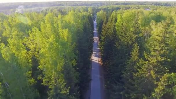 Panorámica Vista aérea sobre bosque. Camino desde arriba. Vídeo tomado usando dron. Vista superior de los árboles. Camino entre árboles — Vídeo de stock