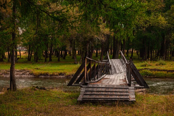 Antiguo puente de madera en ruinas sobre el río en el bosque en un clima nublado. Puente de madera lavado — Foto de Stock