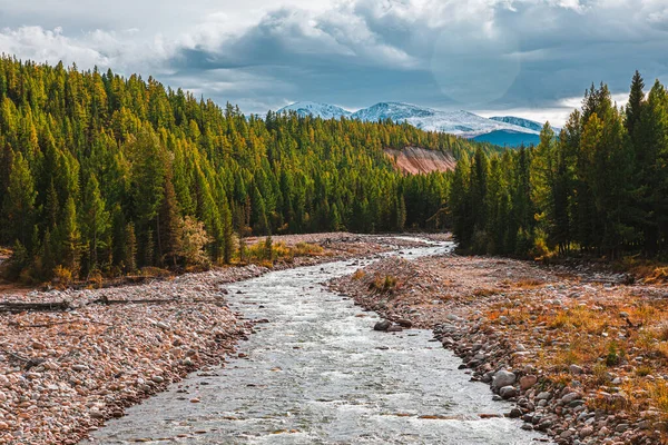 Panorama of mountain river on background of beautiful mountains in cloudy weather. View of turquoise river in the mountains on the background gloomy sky