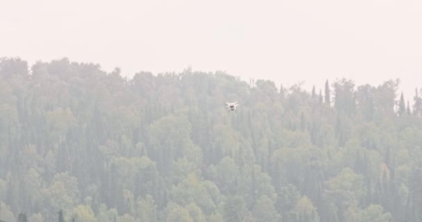 Quadricottero al rallentatore in volo sopra la foresta. Il drone che sorvola la foresta verde vola via. Drone che vola nel cielo — Video Stock