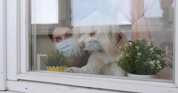 Молодая девушка в медицинской маске, сидит дома, сидит у окна, с собакой в медицинской маске и смотрит наружу через стекло. Женщина с домашним животным возле карантинного окна во время пандемии ковид-19 — стоковое видео