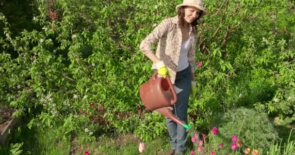 Young beautiful girl in hat, works in garden, cares for flowers, Watering from watering can. Woman farmer works at the cottage in spring on sunny day. Man works on farm caring for behind flower bed — Stock Video