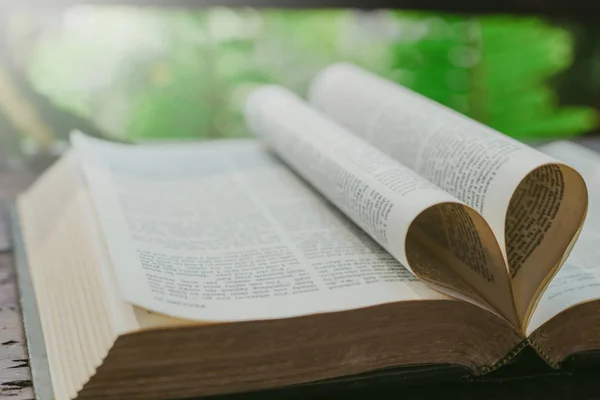 Leyendo Orando Sobre Biblia — Foto de Stock