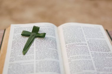 Çapraz yeşil palmiye yaprakları kutsal İncil ile birlikte. Palm Sunday konsepti..