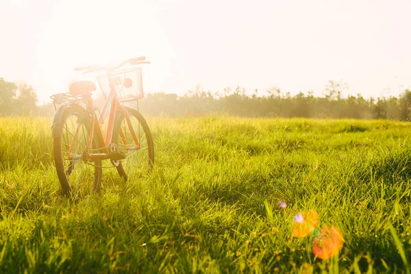 Imagem Paisagem Campo Bonito Com Bicicleta Vermelha Pôr Sol — Fotografia de Stock