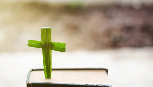 Kruis Groene Palmbladeren Als Achtergrond Met Heilige Bijbel Palm Sunday — Stockfoto