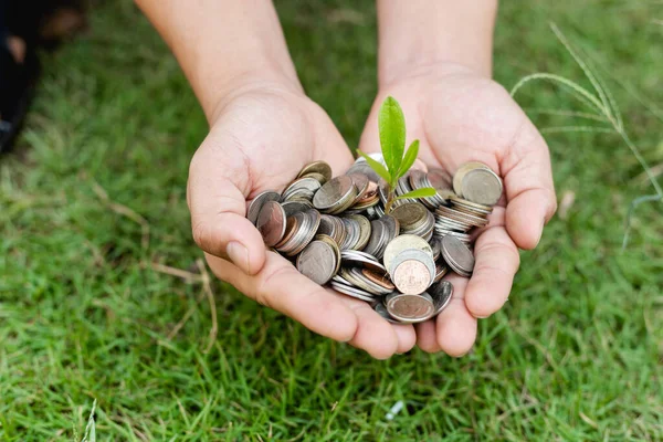 Manos Sosteniendo Muchas Monedas Con Planta Bebé Parte Superior —  Fotos de Stock