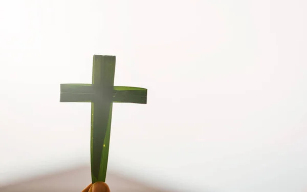 Cross green palm leaves as background with holy bible.Palm Sunday concept.