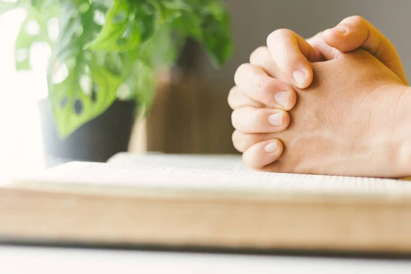 Vrouw Die Bijbel Leest Bidt — Stockfoto