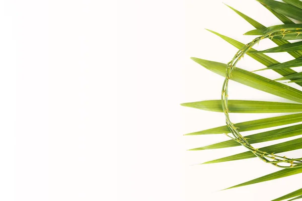 Palmblätter Auf Weißem Hintergrund Oster Und Palmsonntagskonzept — Stockfoto