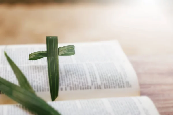Σταυρός Πράσινα Φύλλα Φοίνικα Φόντο Την Ιερή Βίβλο — Φωτογραφία Αρχείου