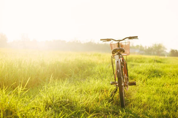 Красивое Изображение Поля Красным Велосипедом Закате — стоковое фото