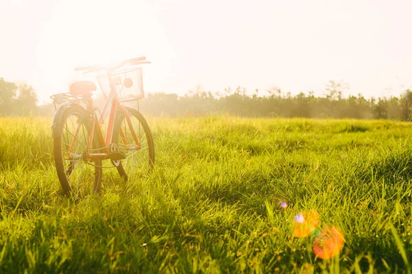 日没の赤い自転車と美しいフィールドの風景画像 ロイヤリティフリーのストック写真
