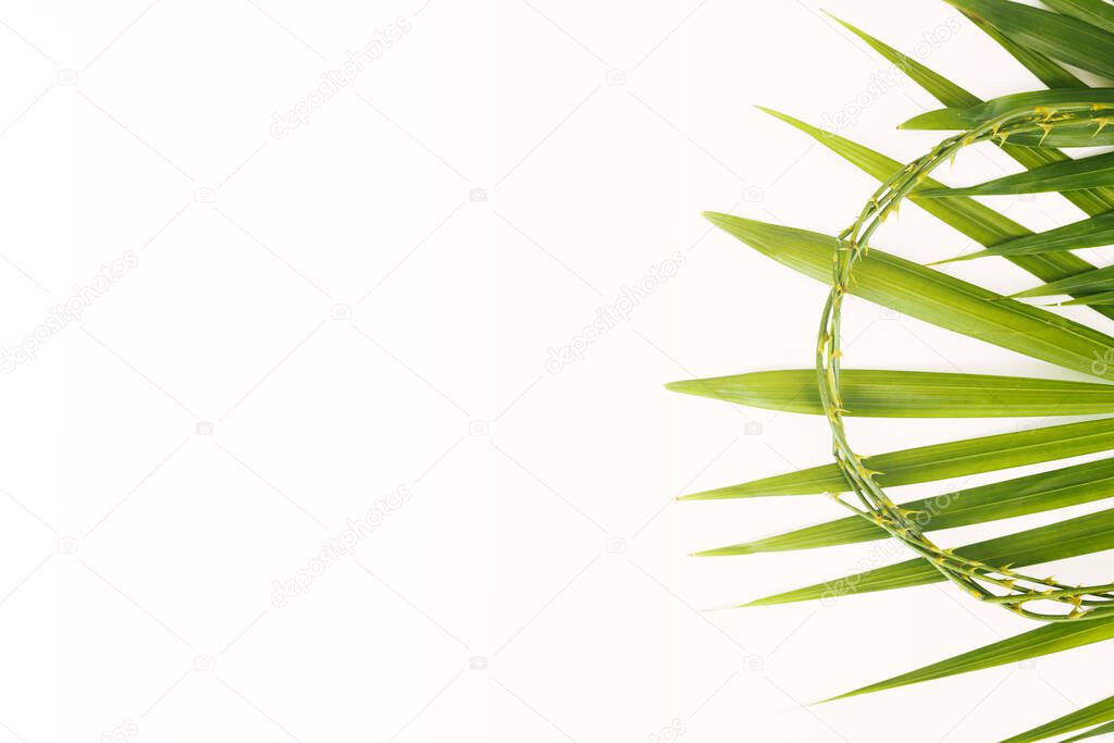 Palm leaves on white background ,Easter and palm Sunday concept