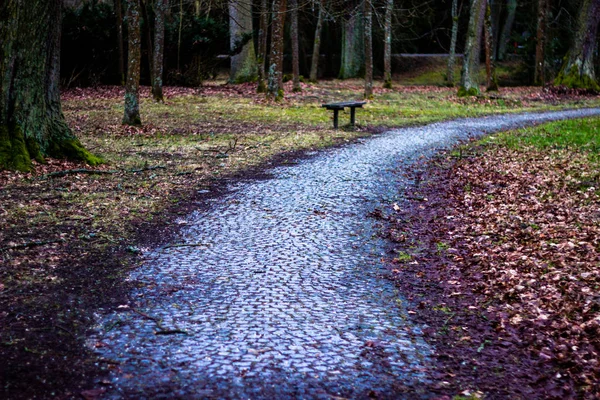 A stony path in a park into a bend with a bench in the background — Stock Photo, Image
